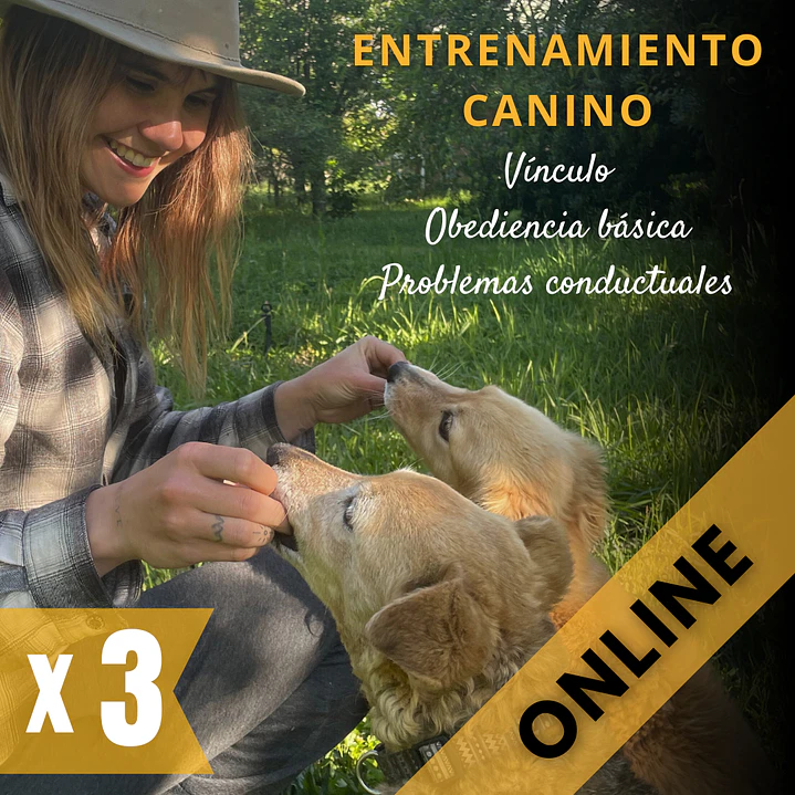 PACK 3 ASESORÍAS: Adiestramiento canino (ONLINE) 1