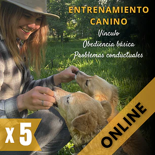 PACK 5 ASESORÍAS: Adiestramiento canino (ONLINE)