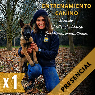 Adiestramiento canino (PRESENCIAL: TALCA Y ALREDEDORES)