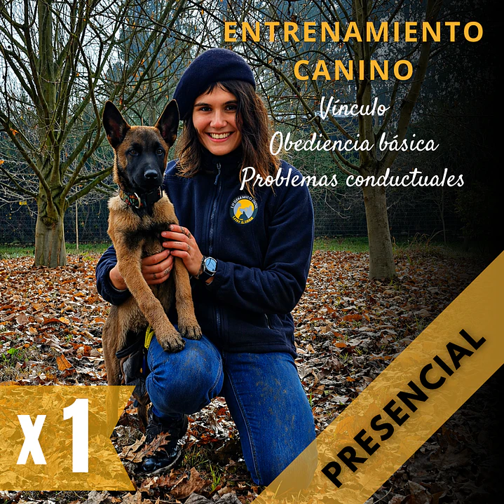 Adiestramiento canino (PRESENCIAL: TALCA Y ALREDEDORES) 1