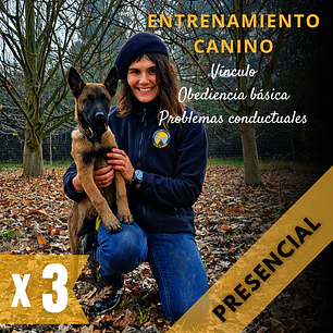 PACK 3 ASESORÍAS: Adiestramiento canino (PRESENCIAL: TALCA Y ALREDEDORES)