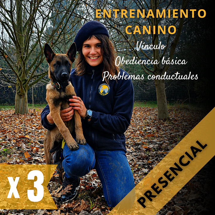 PACK 3 ASESORÍAS: Adiestramiento canino (PRESENCIAL: TALCA Y ALREDEDORES) 1