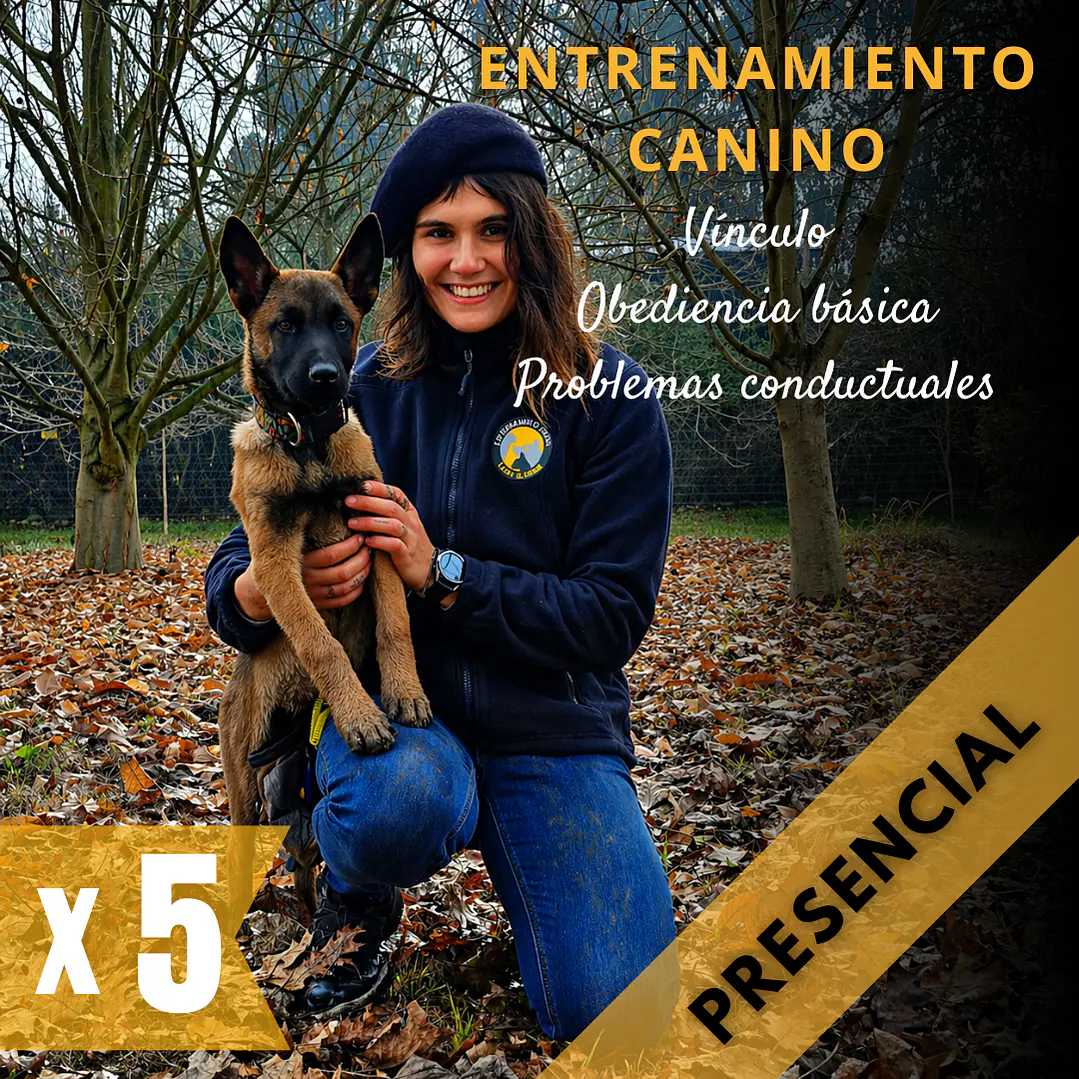 PACK 5 ASESORÍAS: Adiestramiento canino (PRESENCIAL: TALCA Y ALREDEDORES) 1