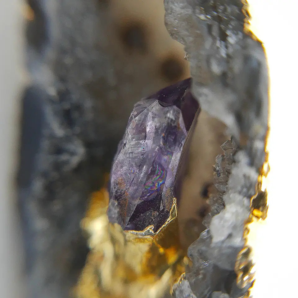 Geoda Drusa  (Collar) 3