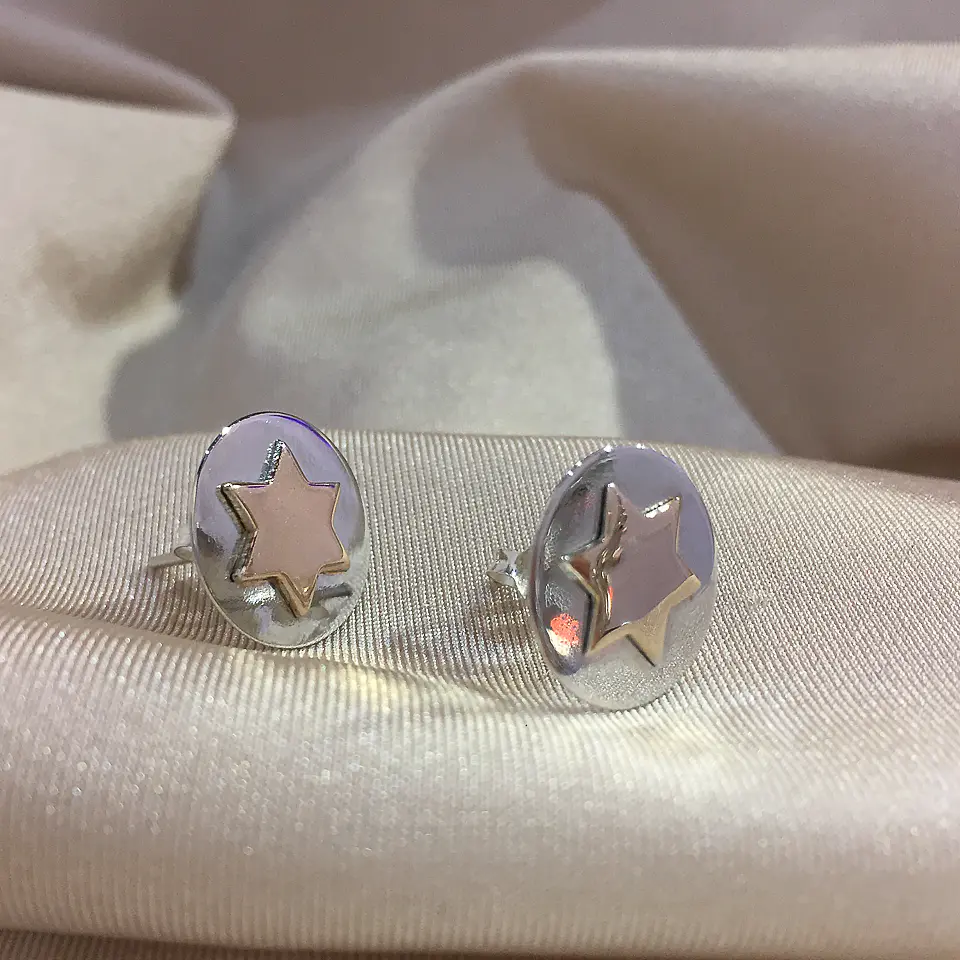 Estrella Rosa (aretes) 1