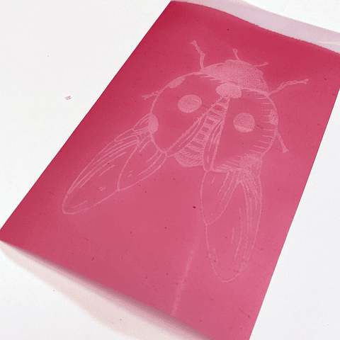 Clase Serigrafía en Porcelana en Frío - Presencial