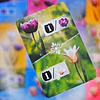 Flores escarchadas
