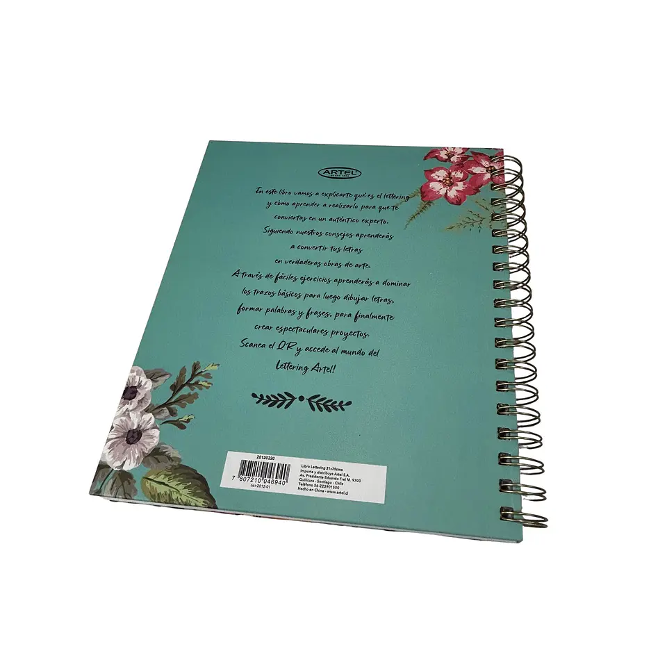 Libro para aprender Lettering 2