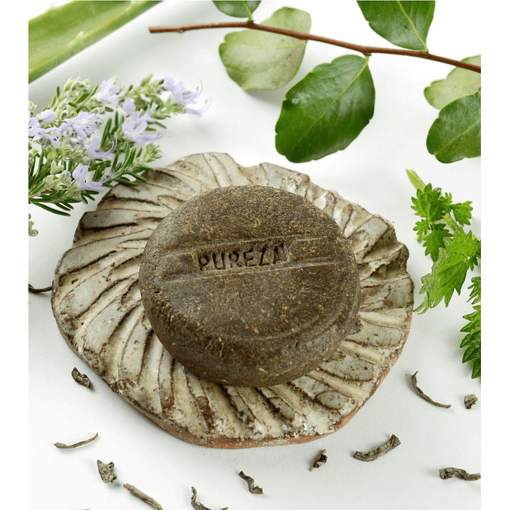 Champú Sólido Pureza Pelo Graso, Curativo 1