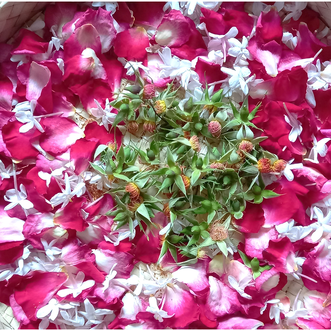 Serum Facial Anti-Oxidante e Hidratante 3