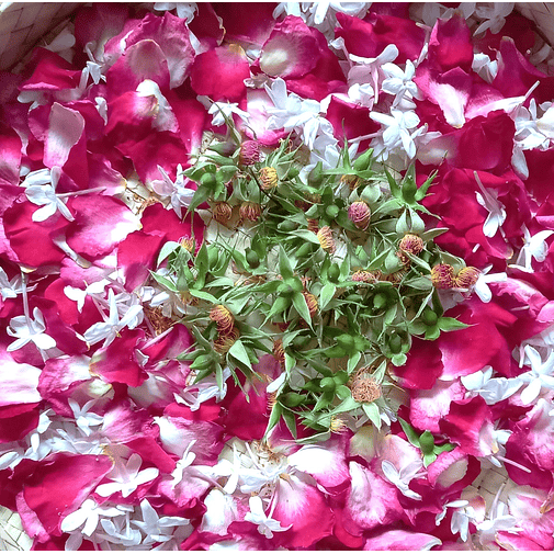 Serum Facial Anti-Oxidante e Hidratante 3