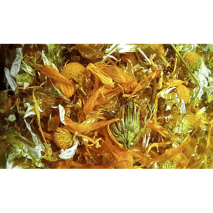 Limpiador Facial Suave en barra 3