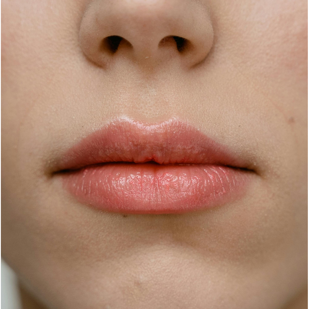 Labial: Nutrición, Protección y Color 3