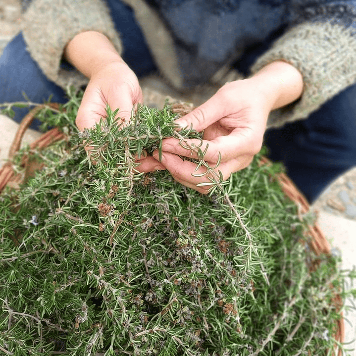 Champú Sólido Pureza Pelo Graso, Curativo 2