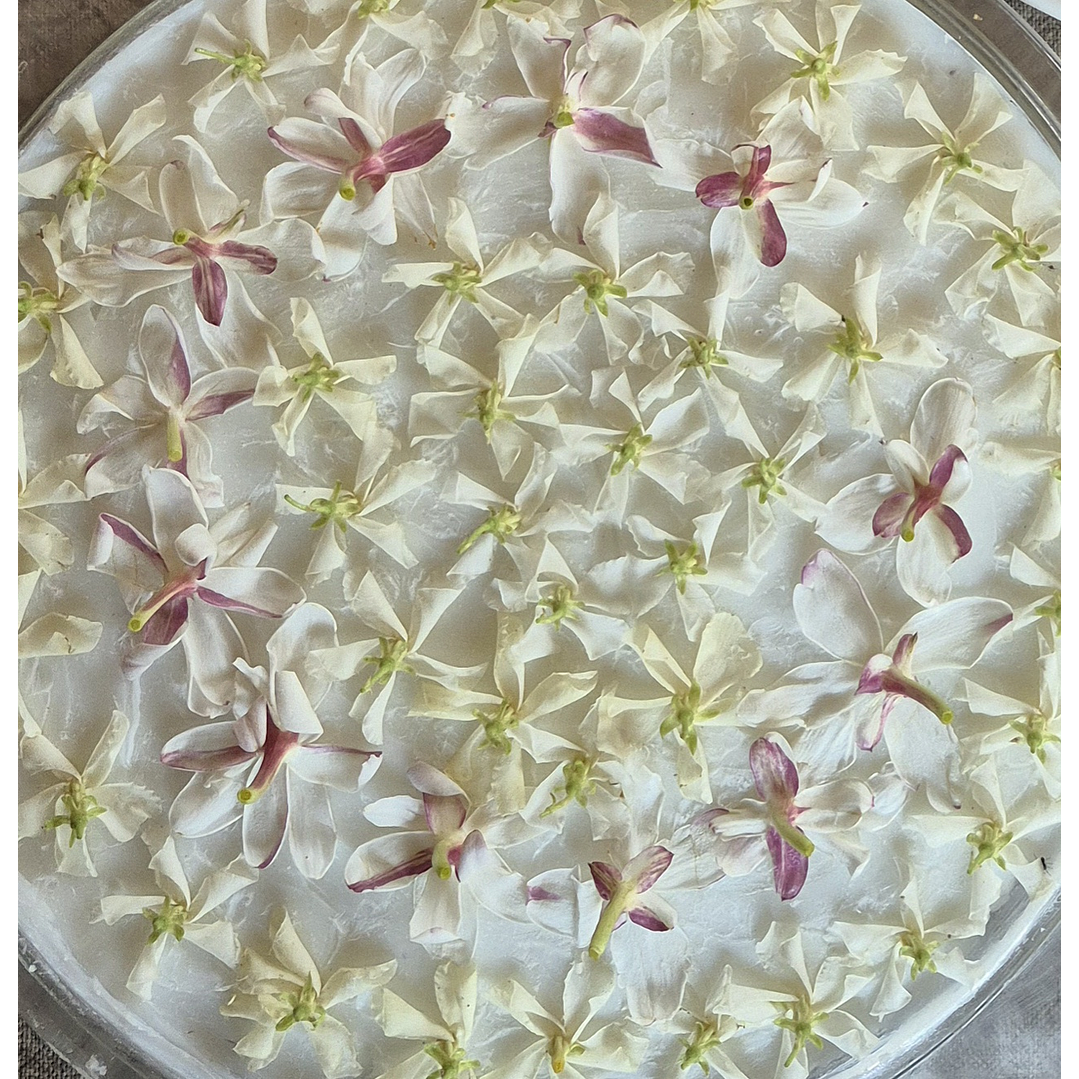 Perfume Sólido de Jazmín 10 grs. 2