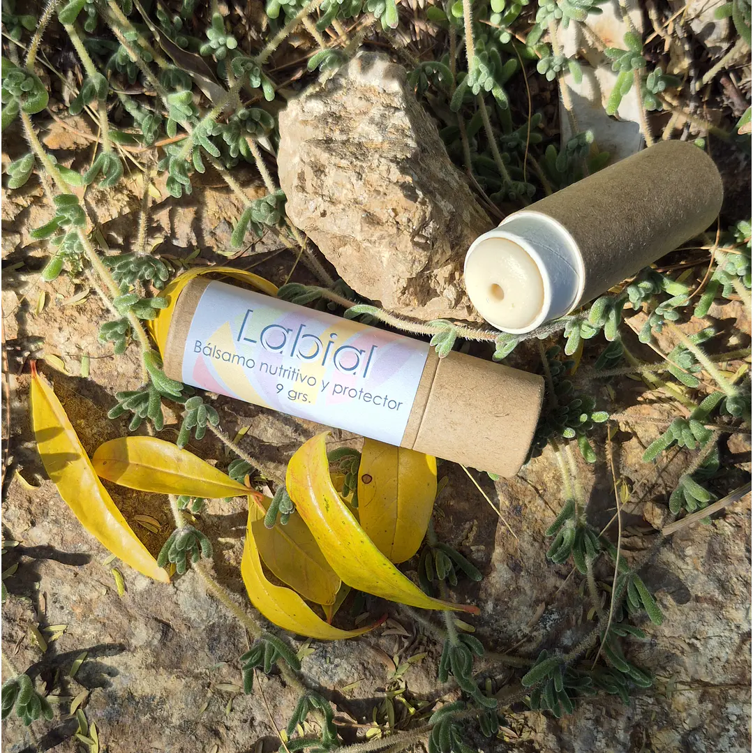 Bálsamo Labial nutritivo y protector 1