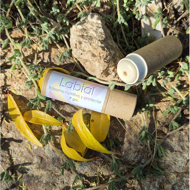 Bálsamo Labial nutritivo y protector 1