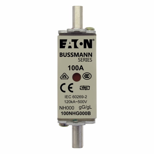 FUSIBLE 100A /500VAC