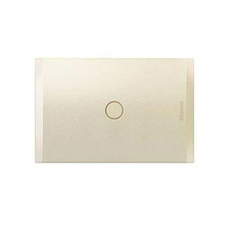 PLACA INTERRUPTOR/ENCHUFE CIEGA CIEGA 118X77X7.5 MM PERLA CON SOPORTE