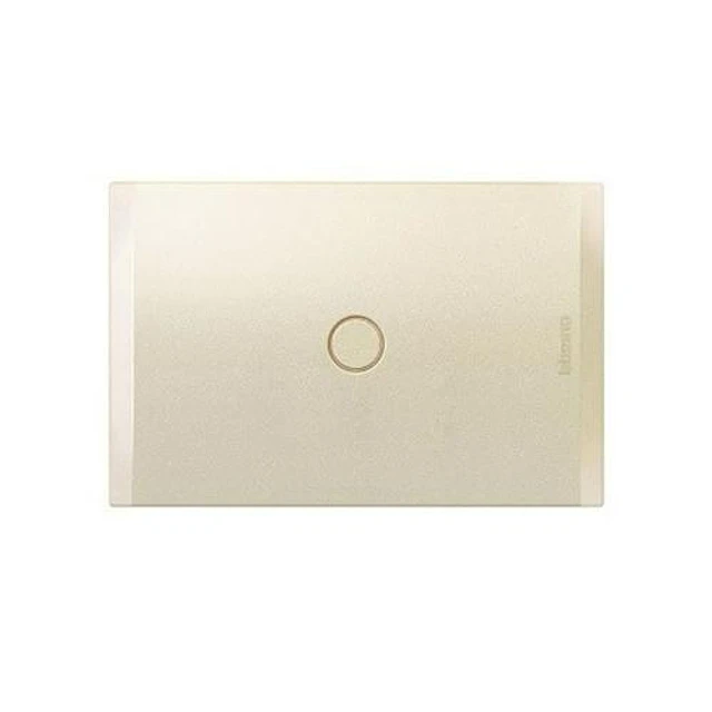 PLACA INTERRUPTOR/ENCHUFE CIEGA CIEGA 118X77X7.5 MM PERLA CON SOPORTE