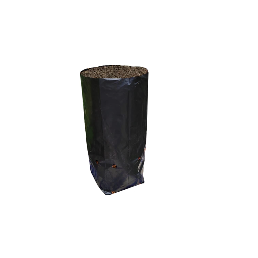 Bolsa Planta 25x40 1