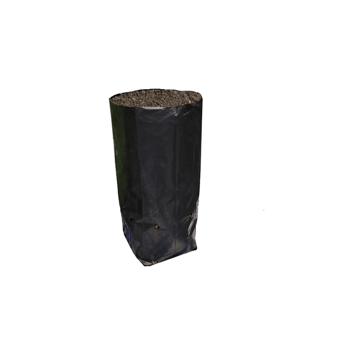 Bolsa Planta 25x40 1