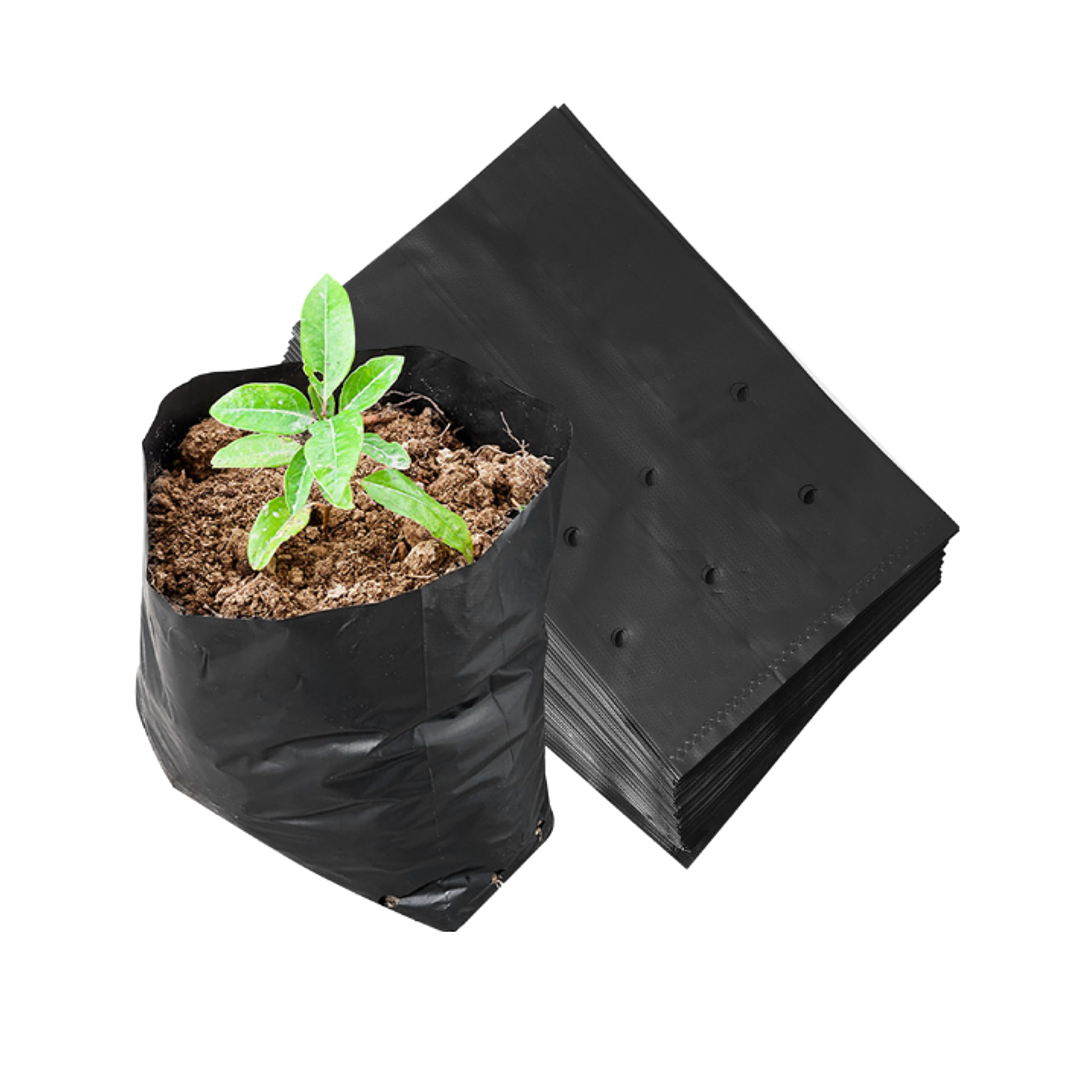 Bolsa Planta 50x50 1