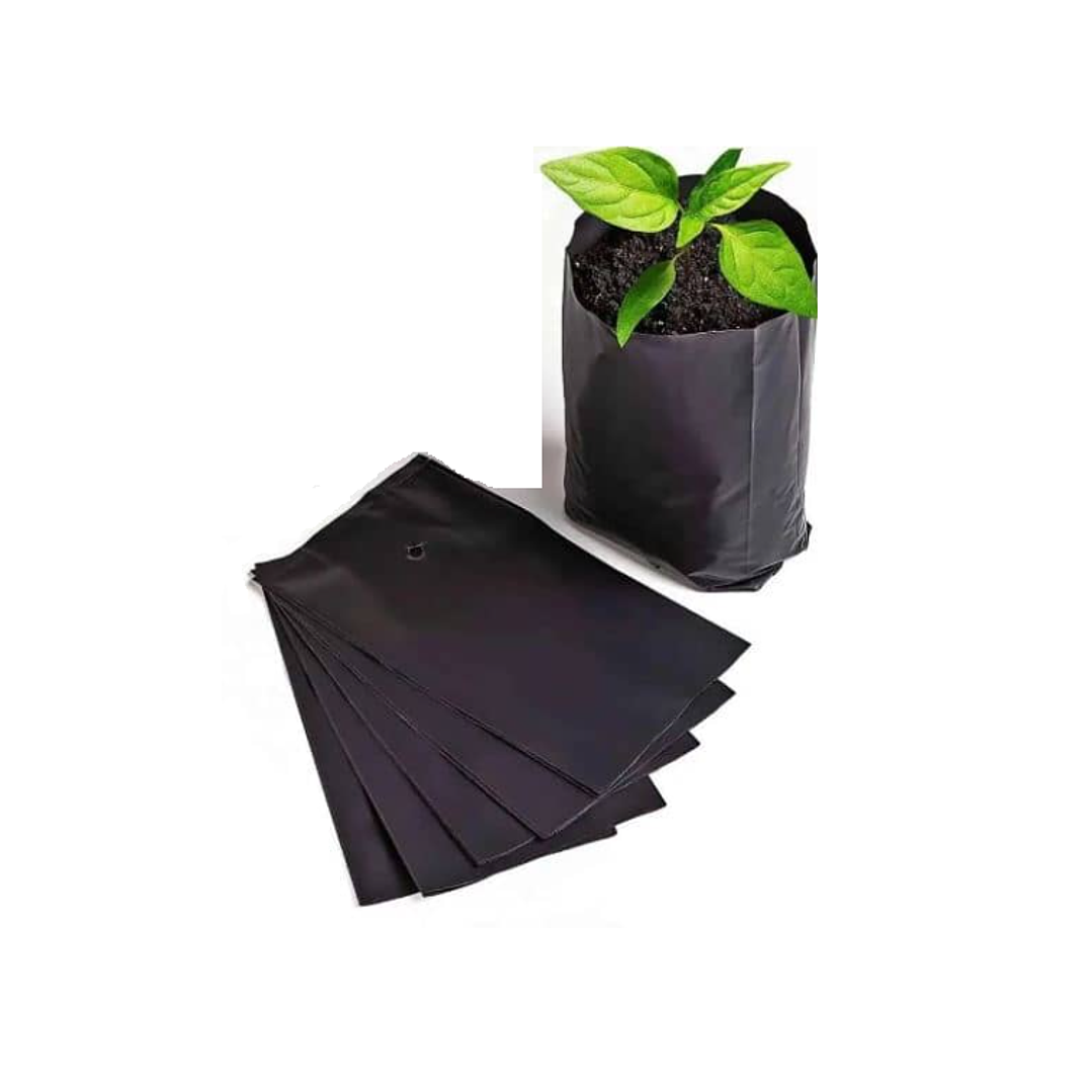 Bolsa Planta 20x20 1