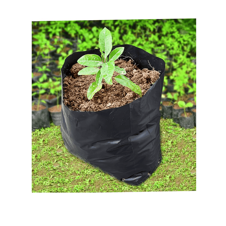 Bolsa Planta 20x35 1