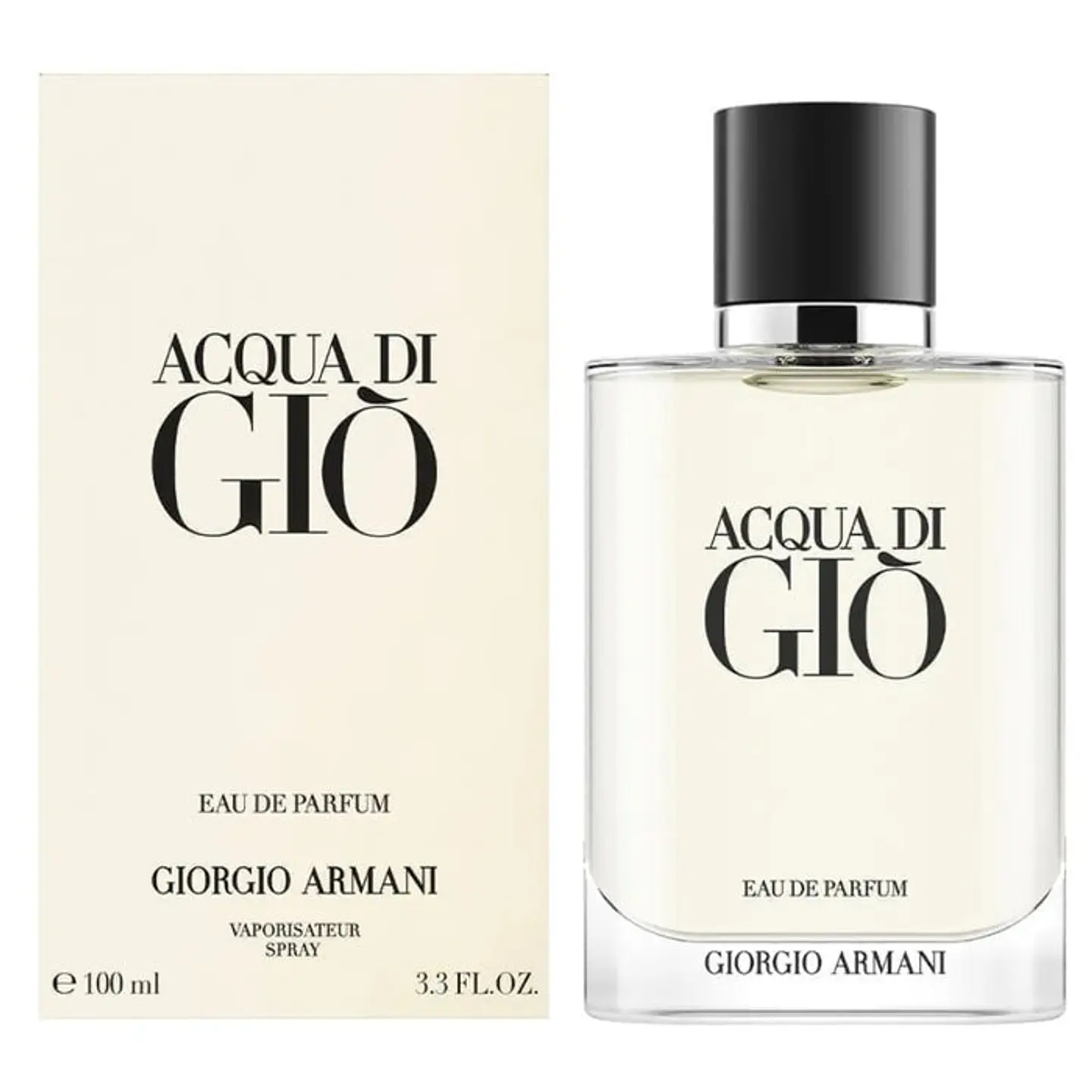 Giorgio Armani Acqua di Gio Men EDP 100ml 1