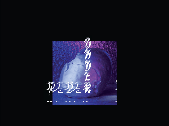 True Champions Ride On Speed - Weder Onder 1