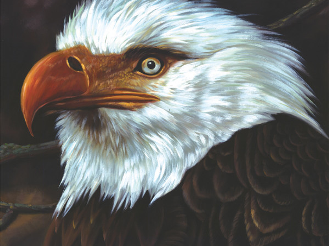 The Hawk Is Howling 1