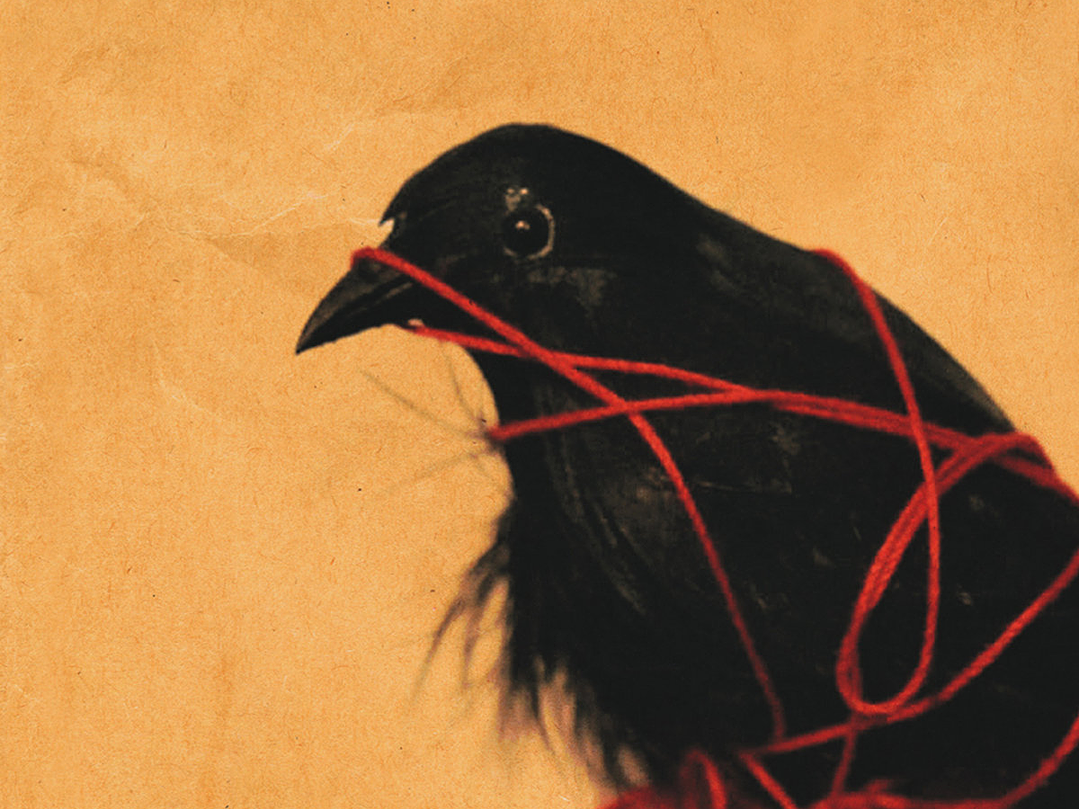 Death Cab For Cutie - Transatlanticism [10th Anniversary Reissue] 1