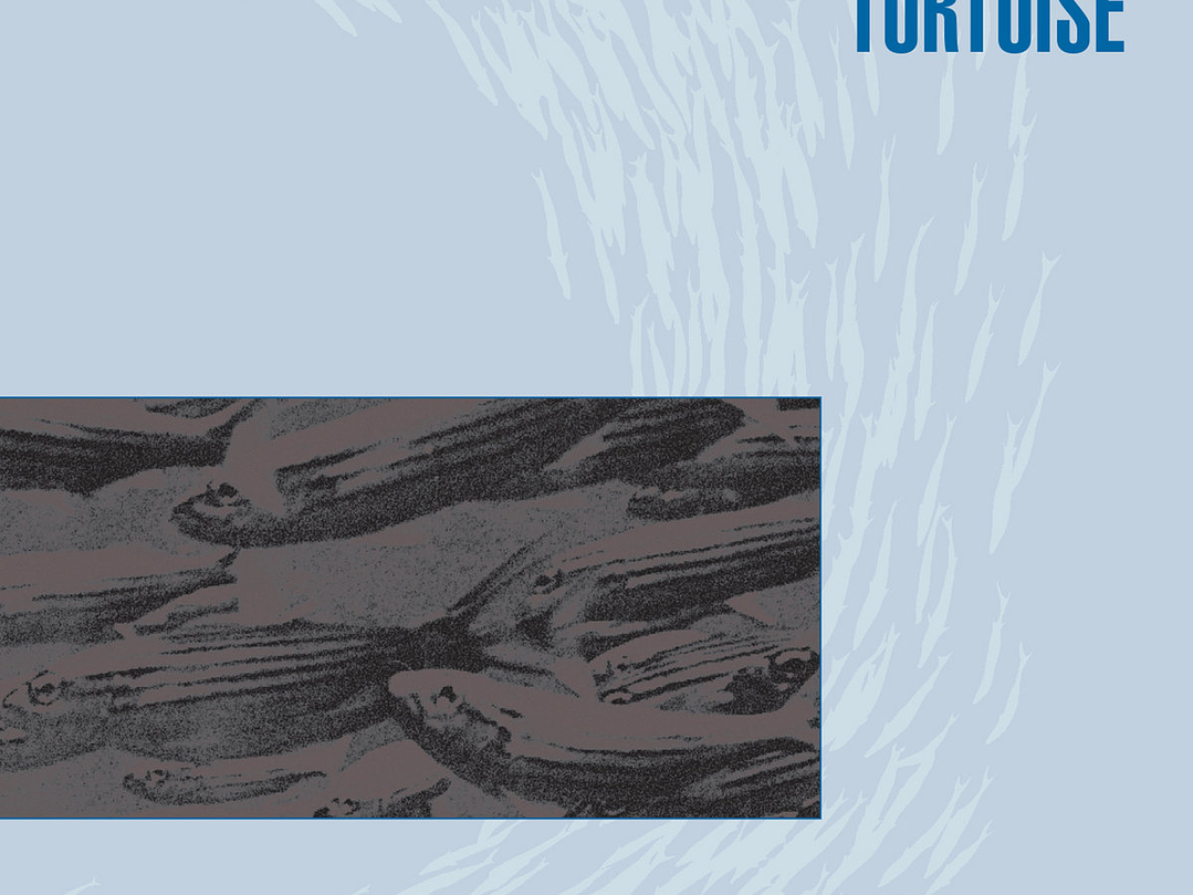 Tortoise - Millions Now Living Will Never Die 1