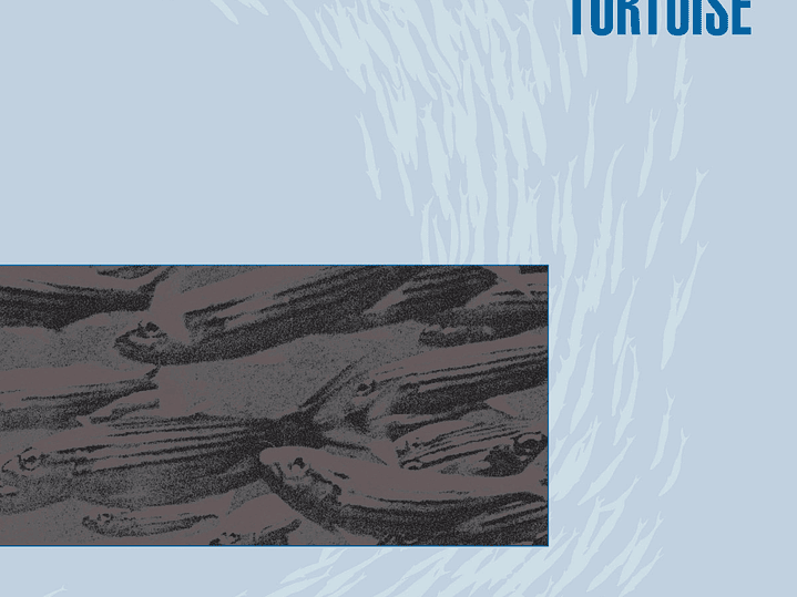 Tortoise - Millions Now Living Will Never Die 1