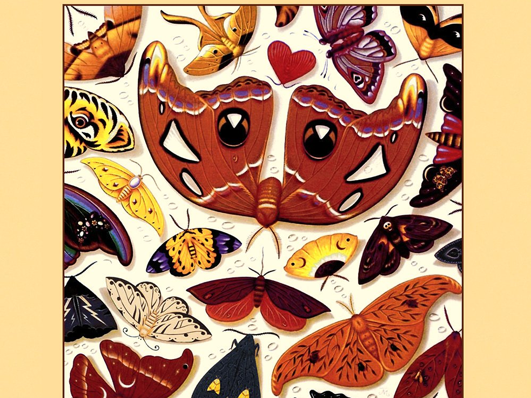 Talk Talk - The Colour of Spring 1