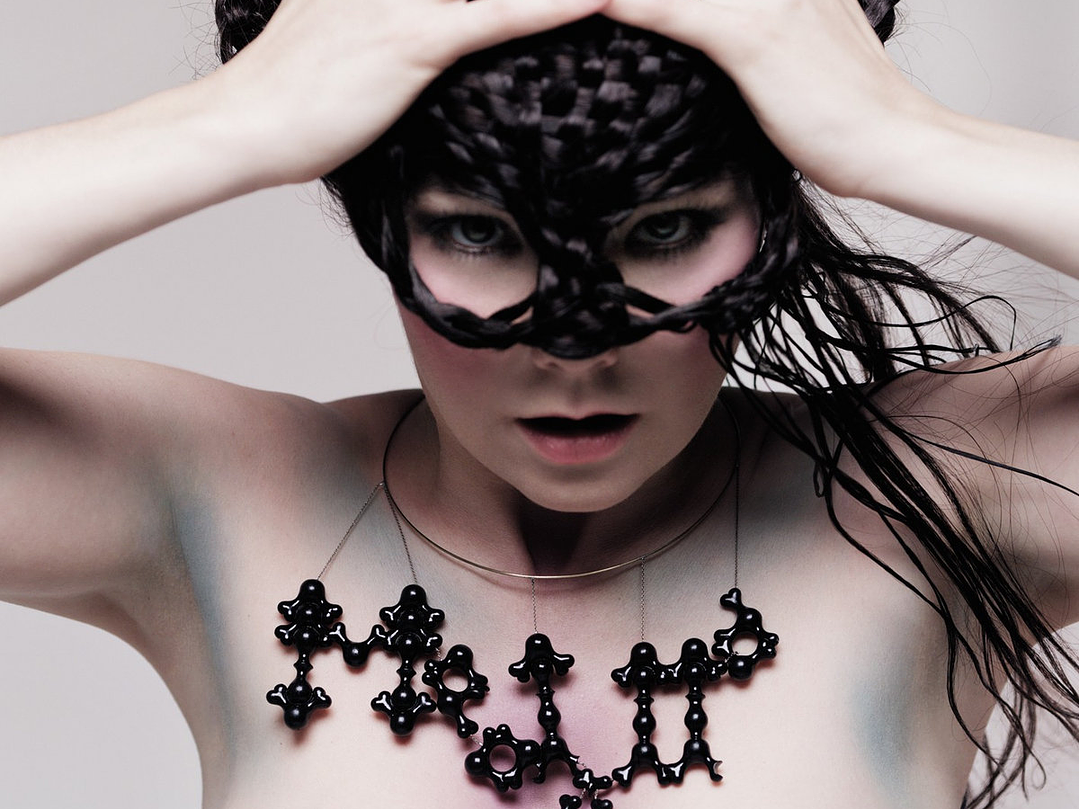 Björk - Medula 1