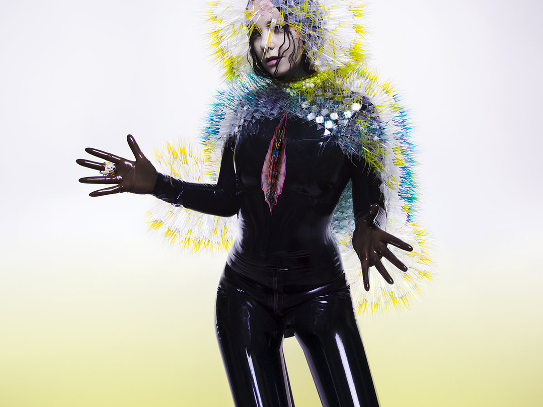 Björk - Vulnicura 1