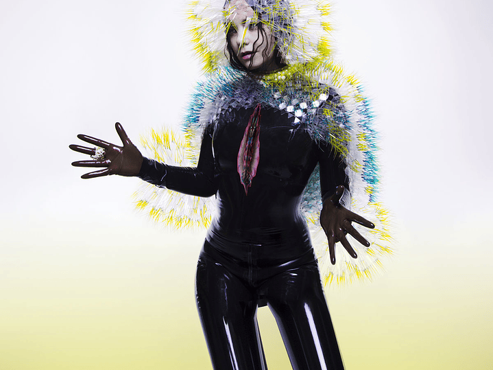 Björk - Vulnicura 1