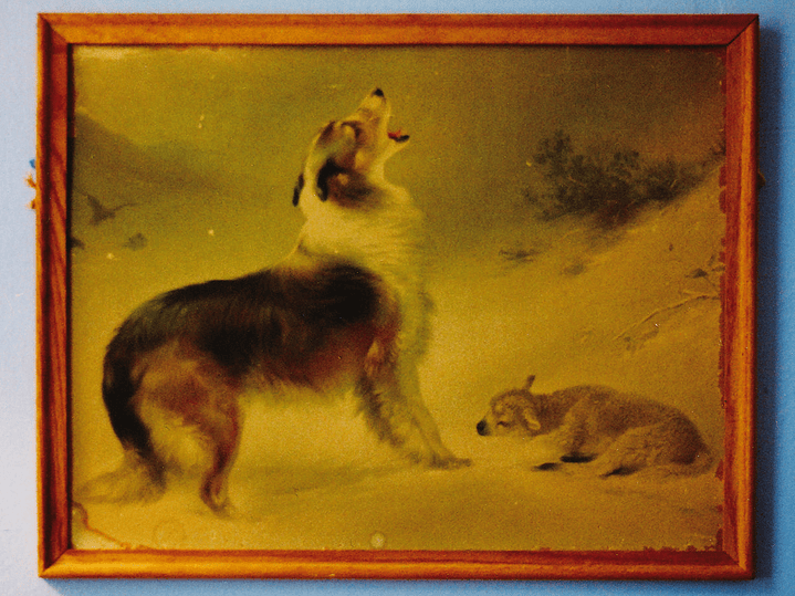 Explosions in the Sky - The Rescue [Anniversary Edition] 1