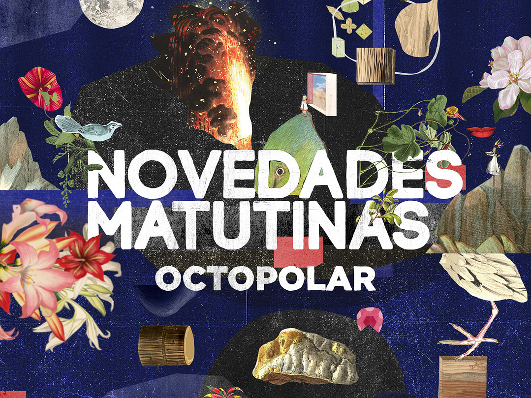 Novedades Matutinas - Octopolar 1