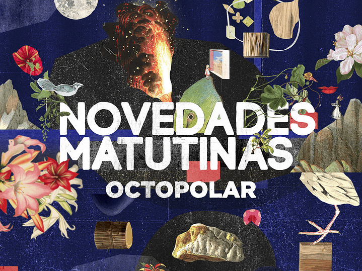 Novedades Matutinas - Octopolar 1