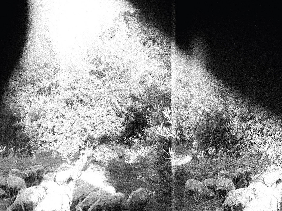 Archipiélagos - Asunder, Sweet and Other Distress 1