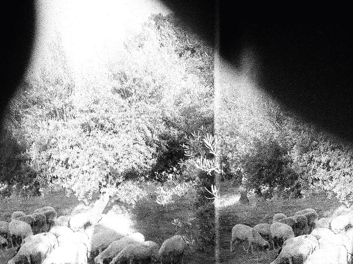 Archipiélagos - Asunder, Sweet and Other Distress 1