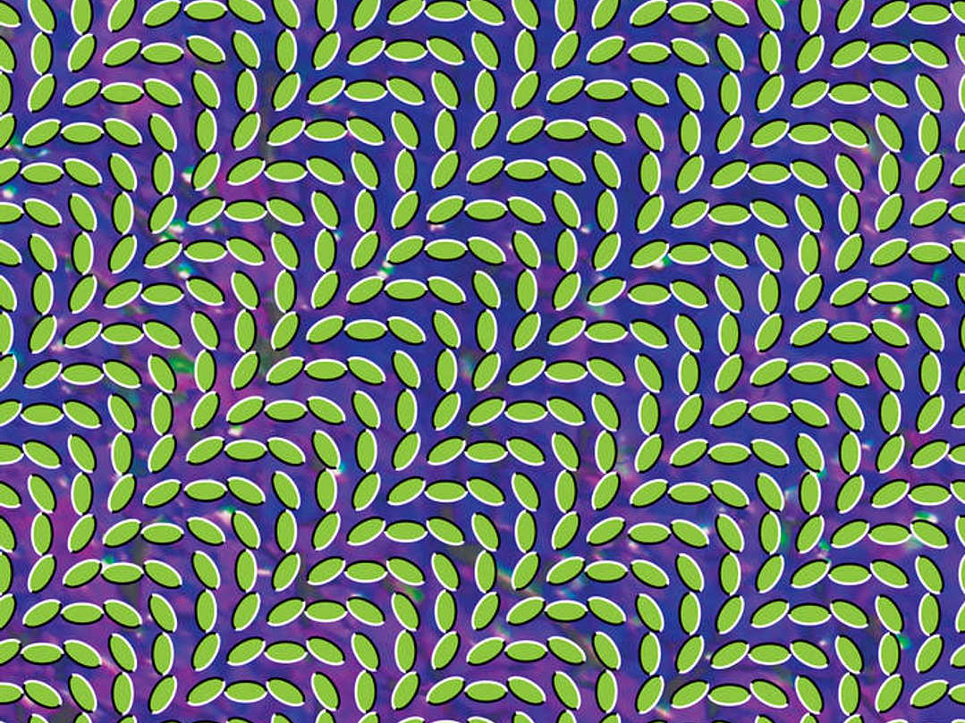 Animal Collective - Merriweather Post Pavilion 1