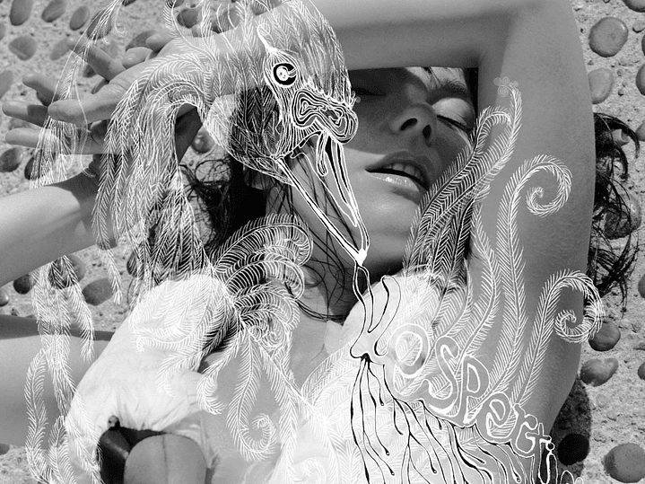 Björk - Vespertine 1