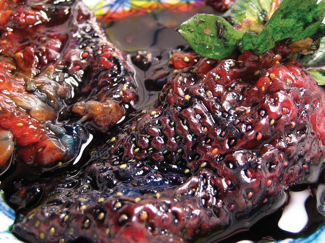 Animal Collective - Strawberry Jam 1