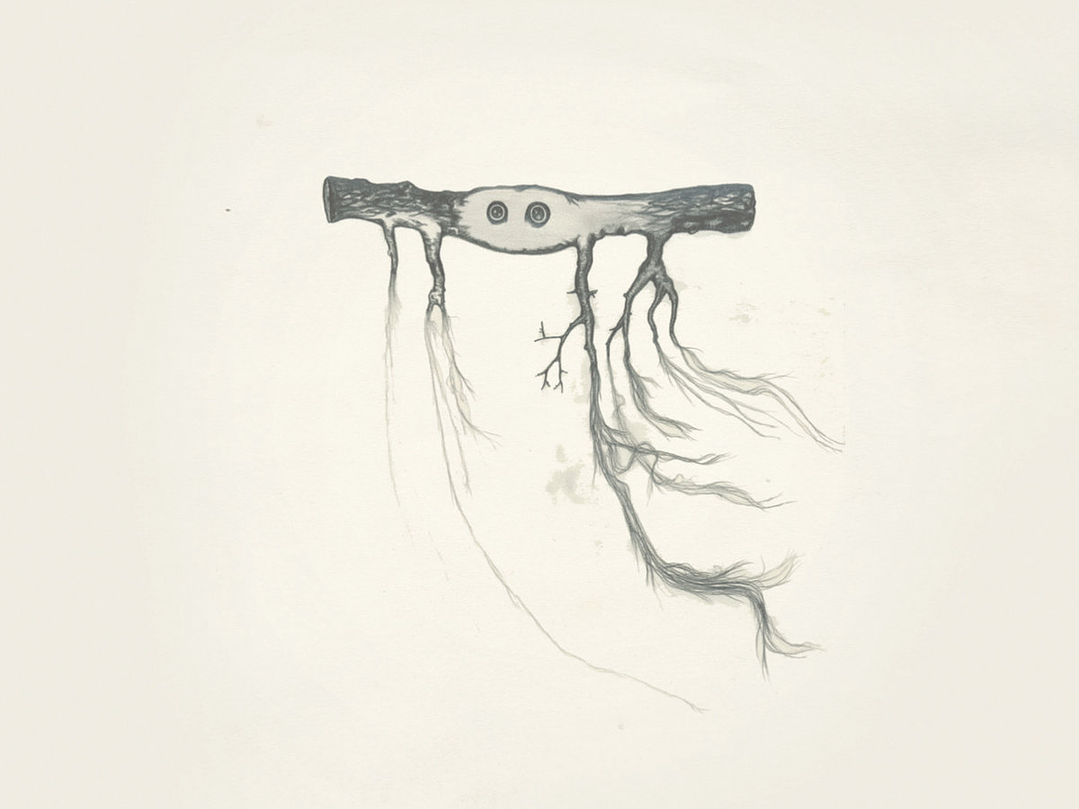 José González - In Our Nature 1