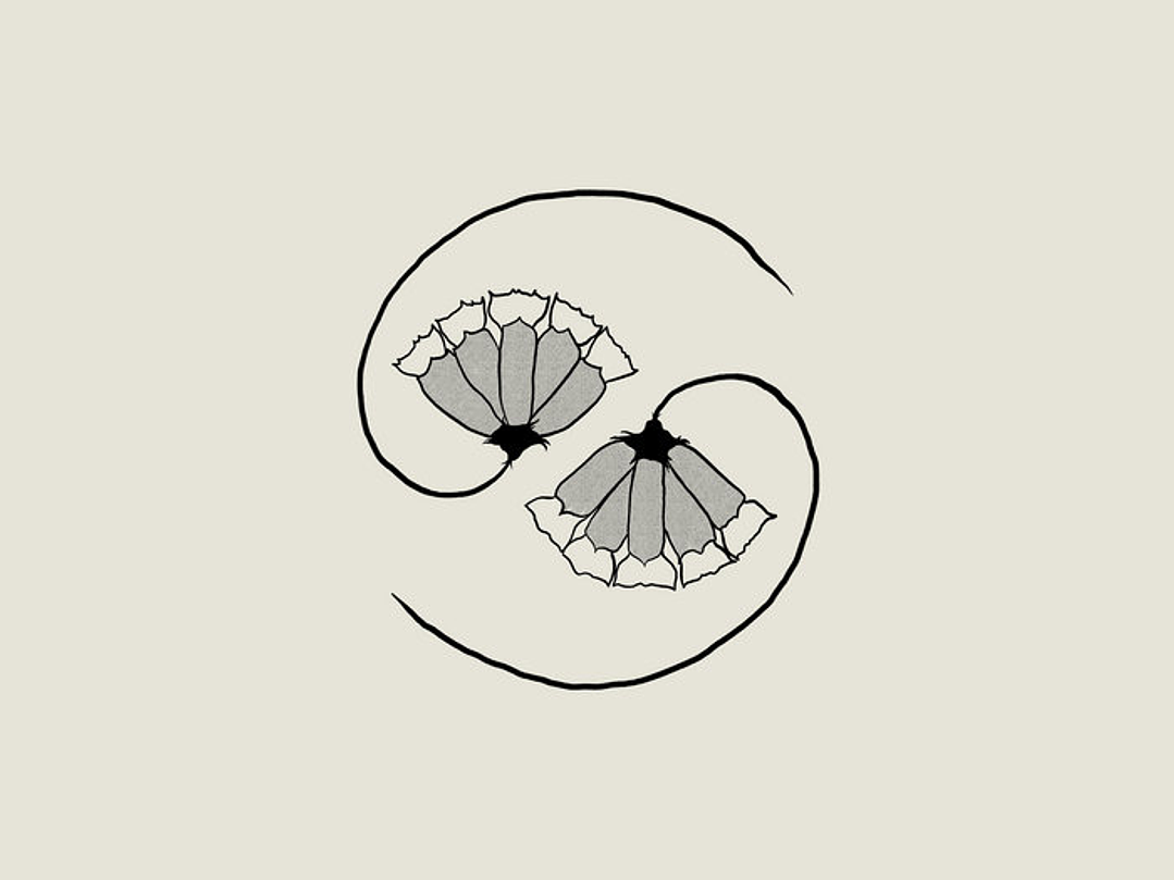 Godspeed You! Black Emperor - G_d’s Pee AT STATE’S END! 1