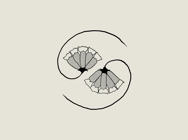 Godspeed You! Black Emperor - G_d’s Pee AT STATE’S END! 1